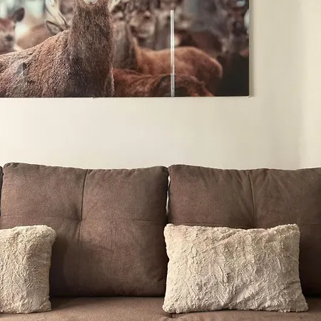 Cosy Et Intimiste Apartment
